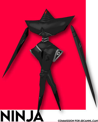 Ninja